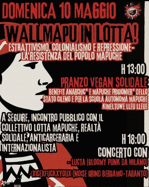 Wallmapu in lotta - La resistenza del popolo Mapuche