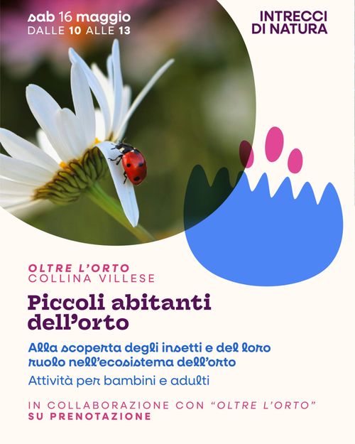 PICCOLI ABITANTI DELL’ORTO - Alla scoperta degli insetti e del loro ruolo nell’ecosistema