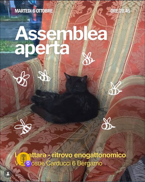Assemblea aperta A.P.E.